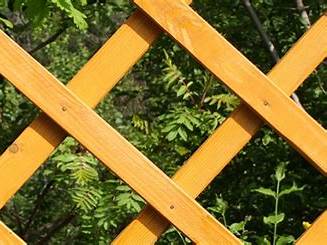 Decorative Timber